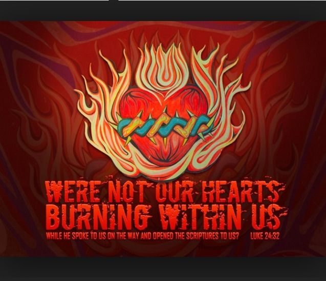 1995e24a7c255dd721abd55cc542308f