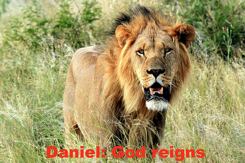 9667329562_6be32c4ea2