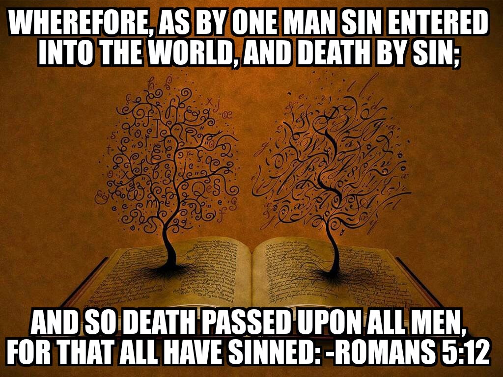 Romans 5_12