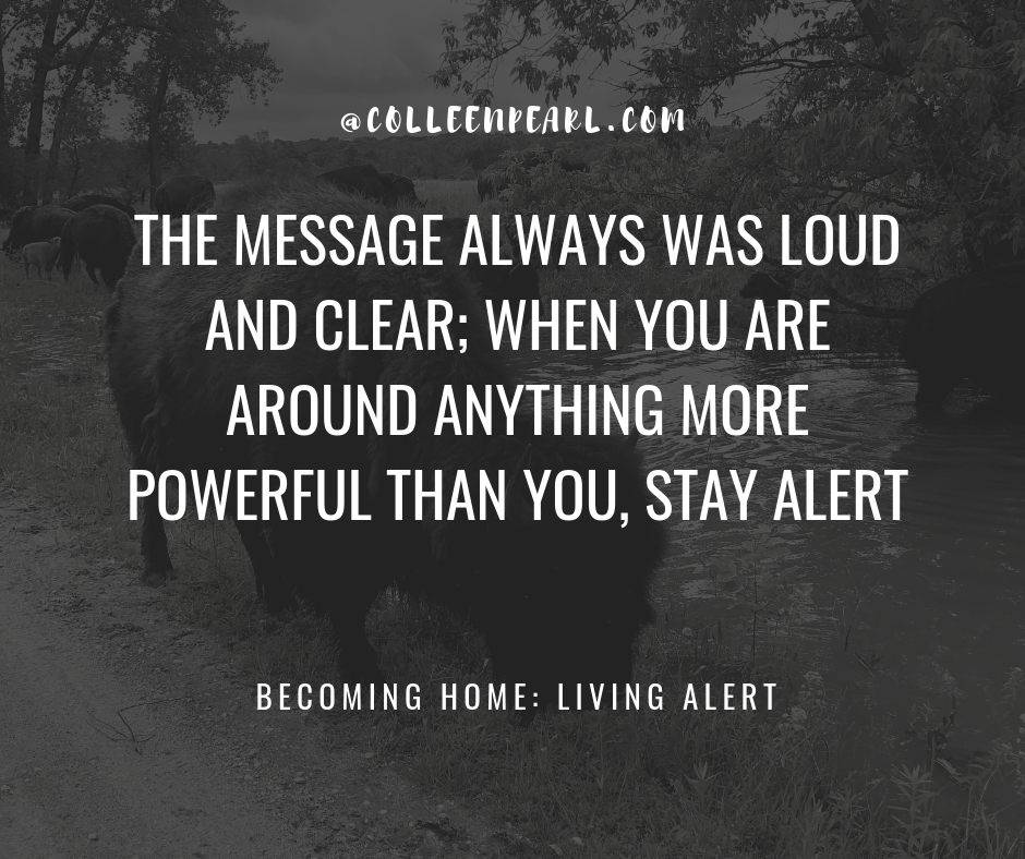 Becoming Home: Living Alert - Finding Home Soul Care